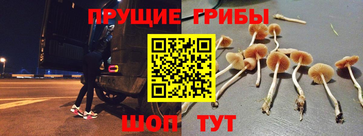 Рославль  где можно купить   Вход с VPN  Галлюциногенные грибы Cubensis 